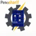 رله کنترل فاز MP101MAX (سه پتانس) میکرومکس
